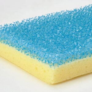 Sponge Daddy up close